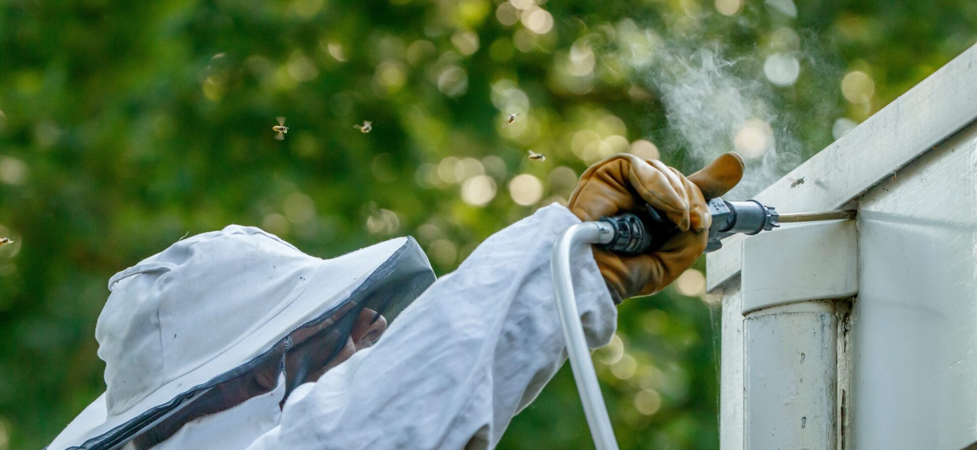 exterminator in protective clothing spraying pesticide