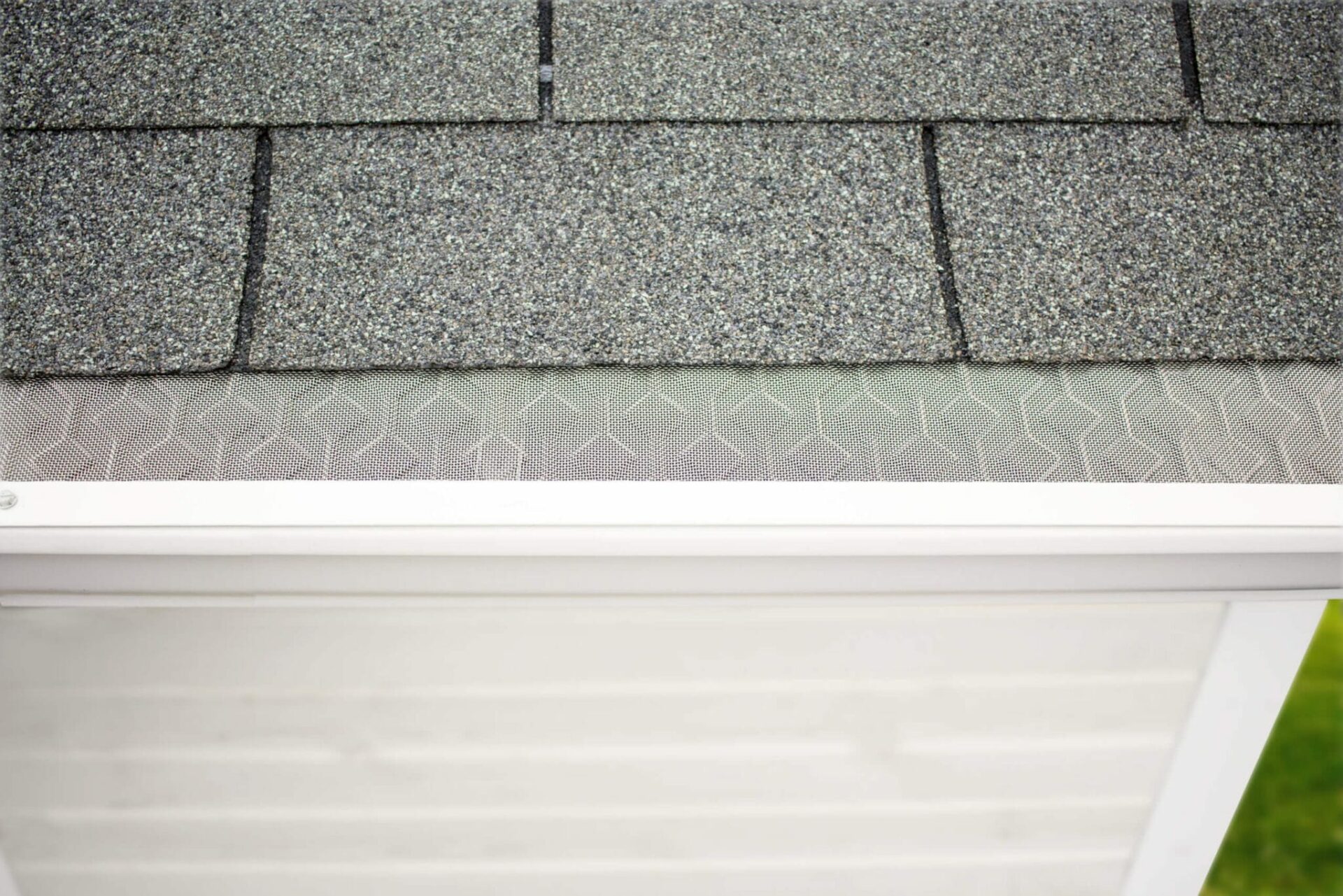 The 5 Best Gutter Guards for Pine Needles (2024 Guide)