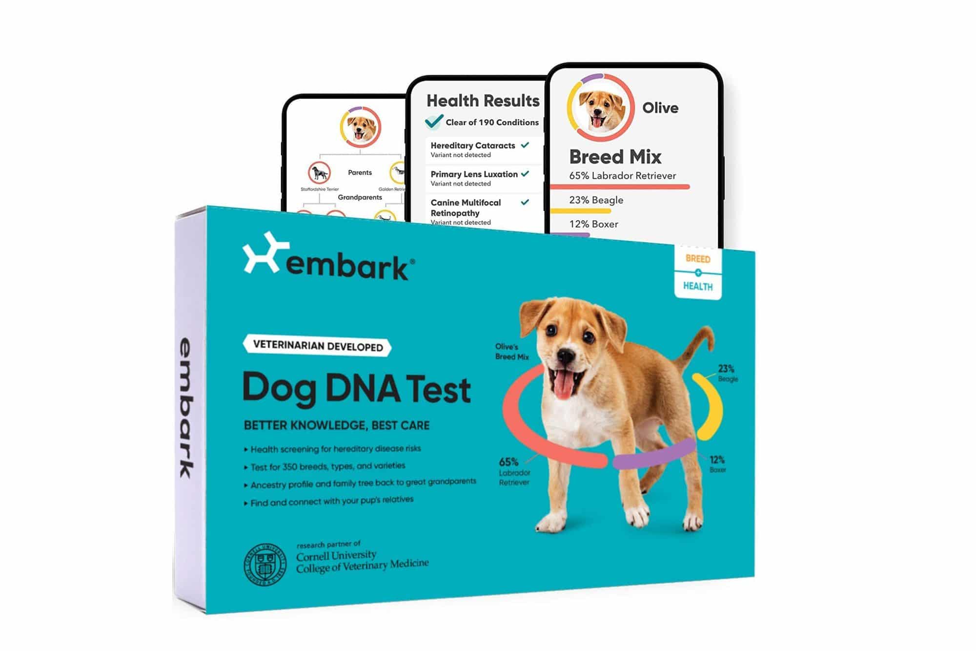 4 Best Dog DNA Test Kits
