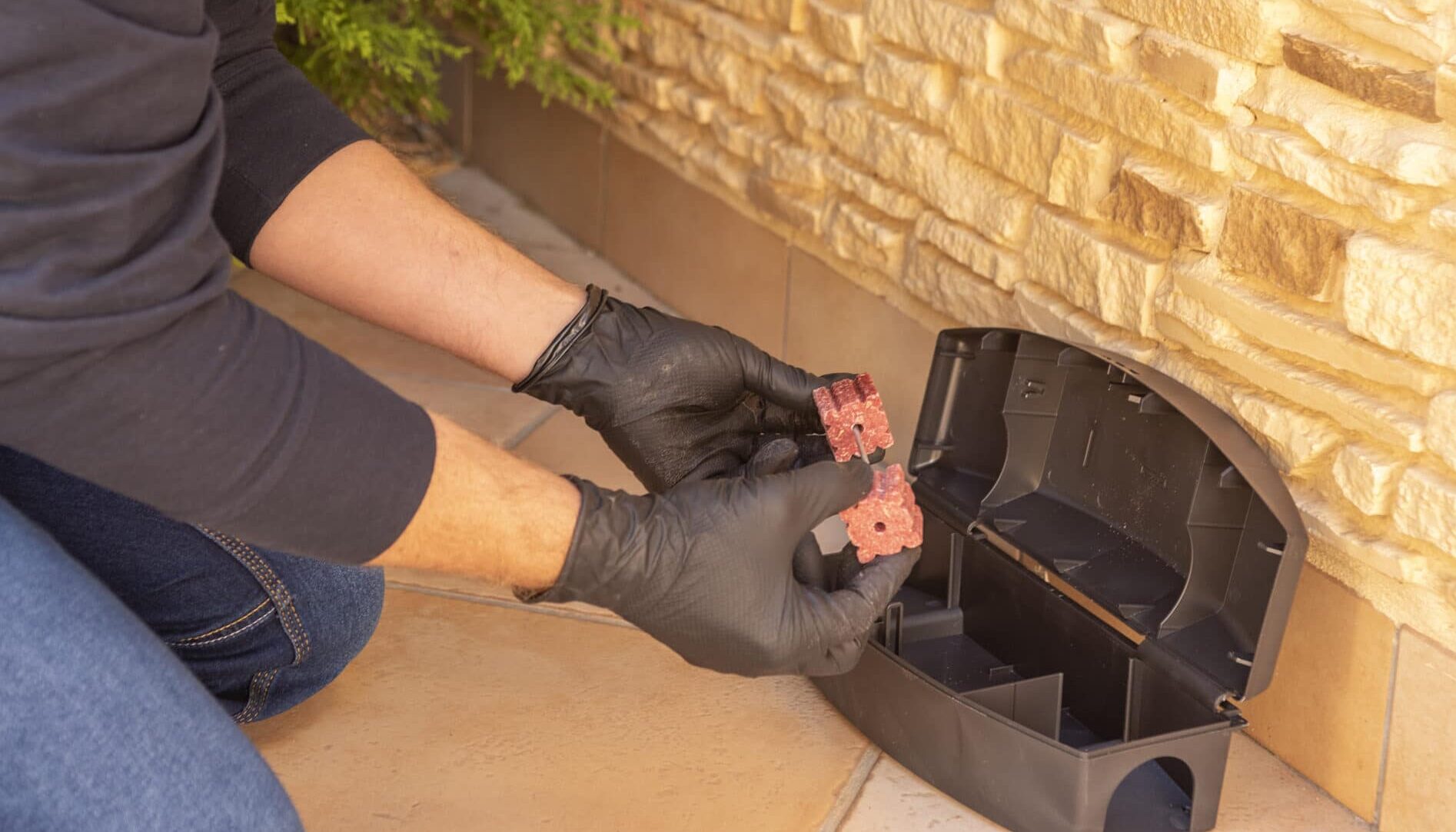 A professional wearing black gloves installs a rat trap outside a home.