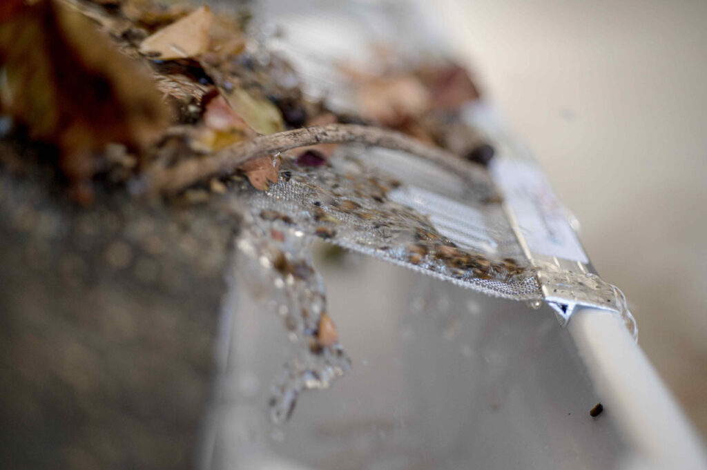 Close-up of a Raptor gutter guard