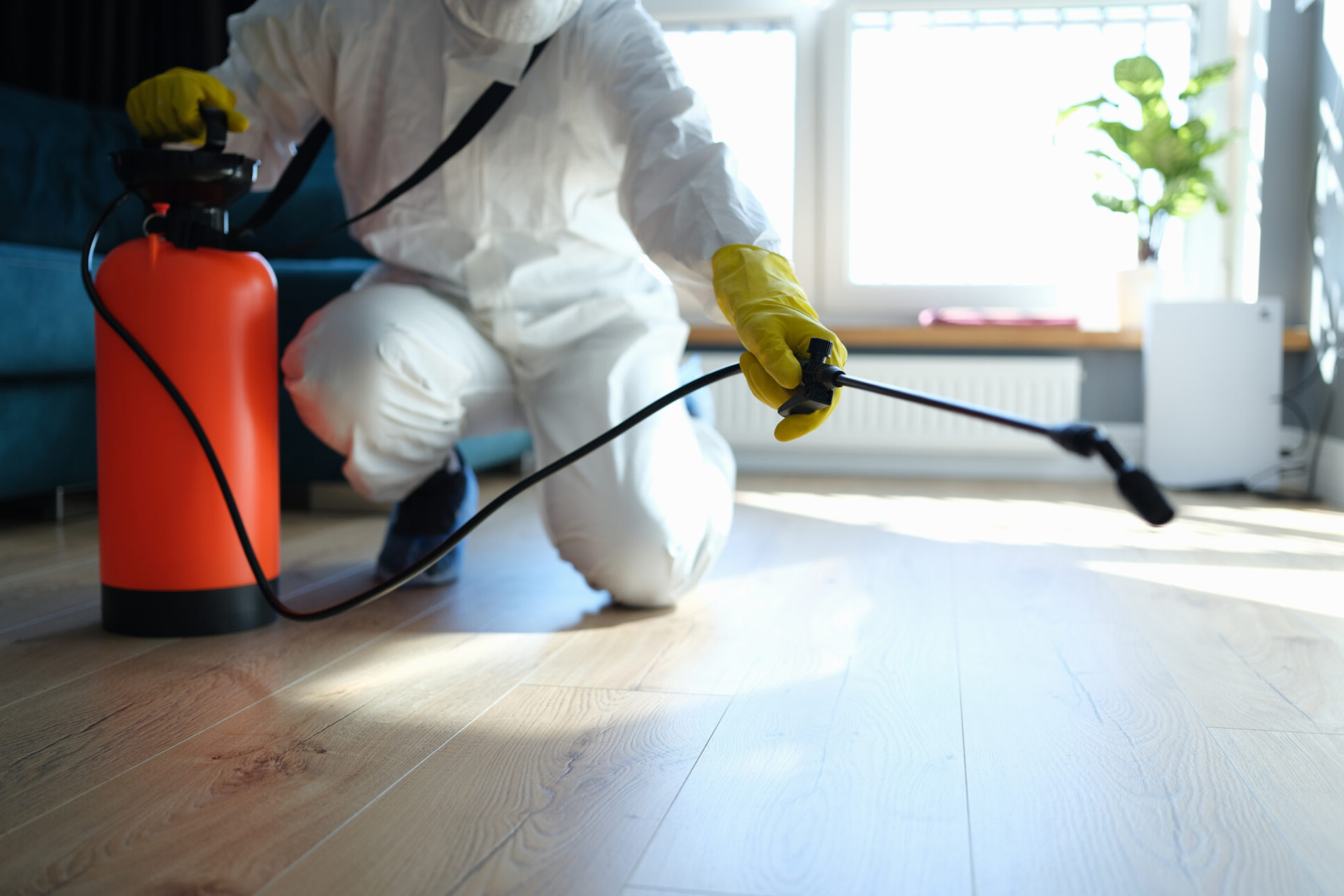 exterminator spraying pesticide inside a home