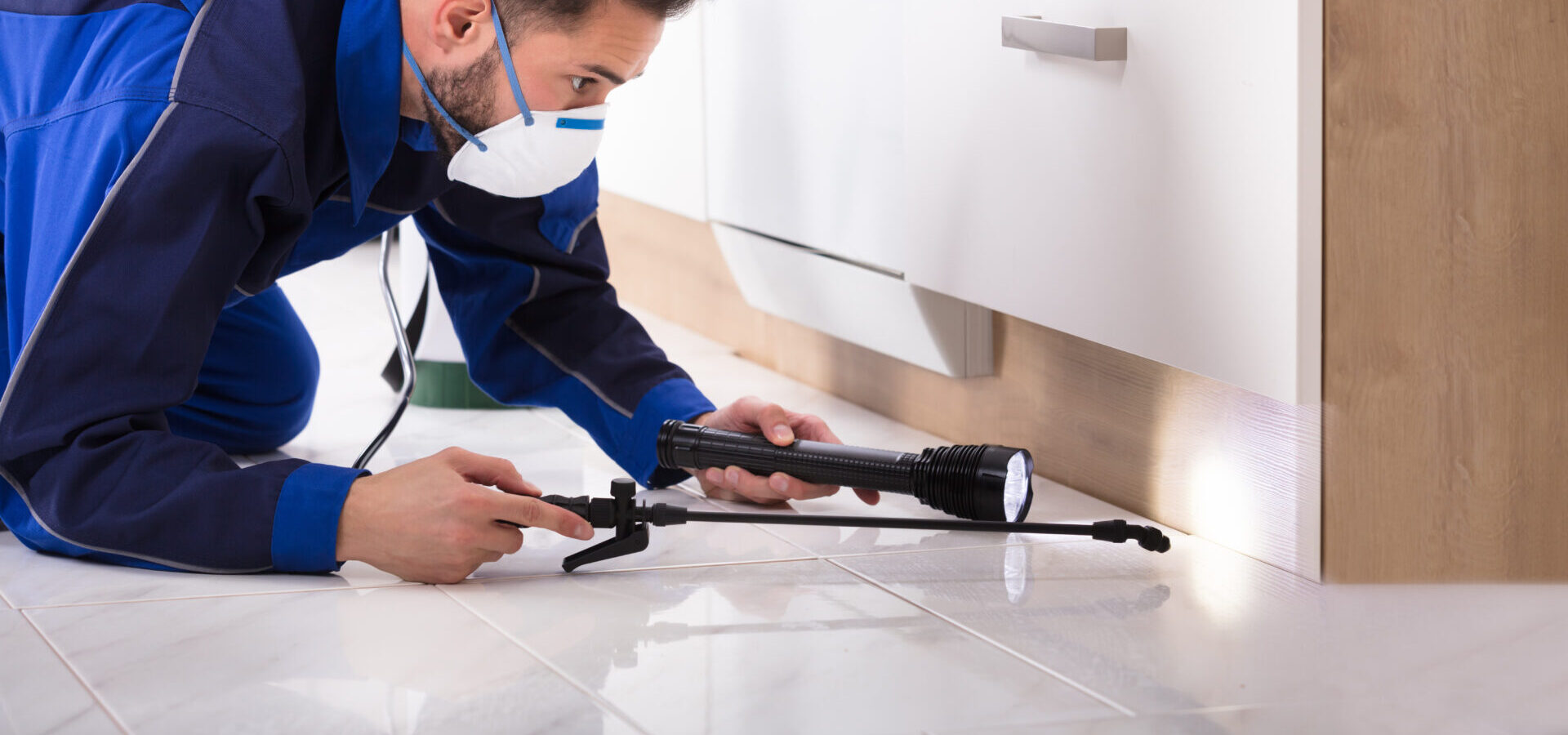 Man Spraying Pesticide Under The Wooden Cabinet In The Kitchen