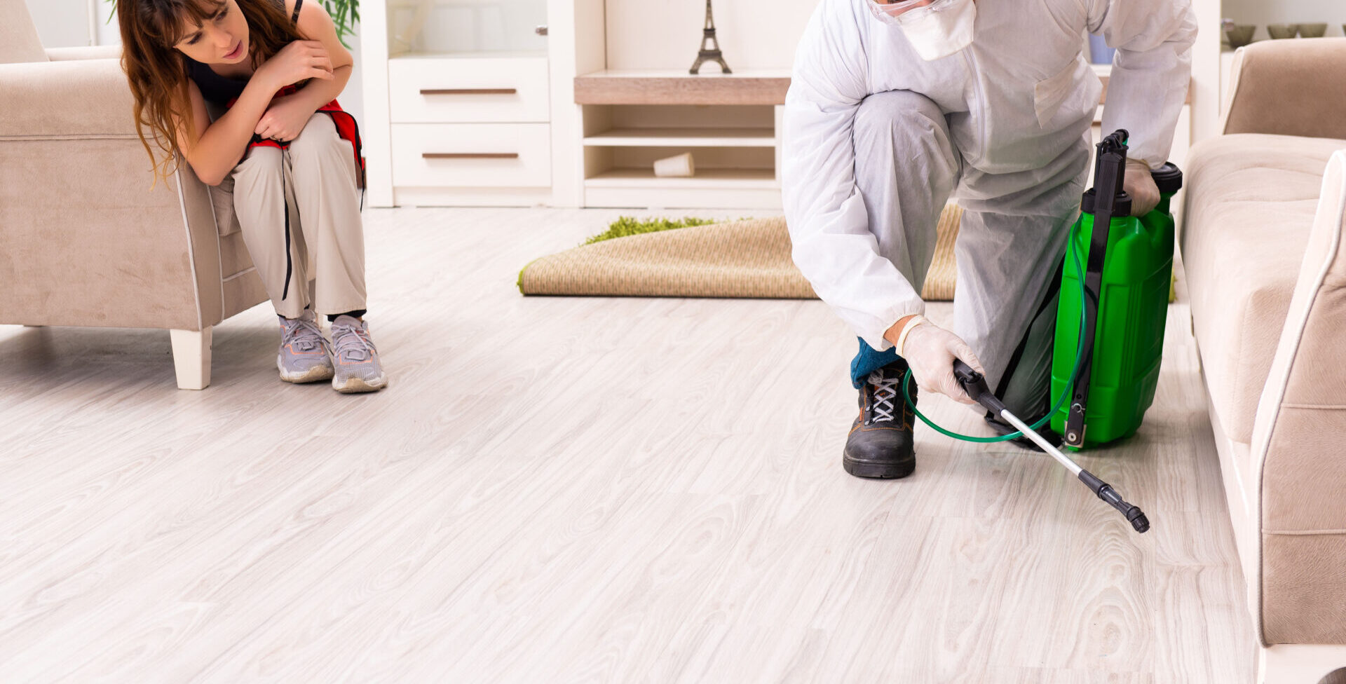 Young professional contractor doing pest control at flat