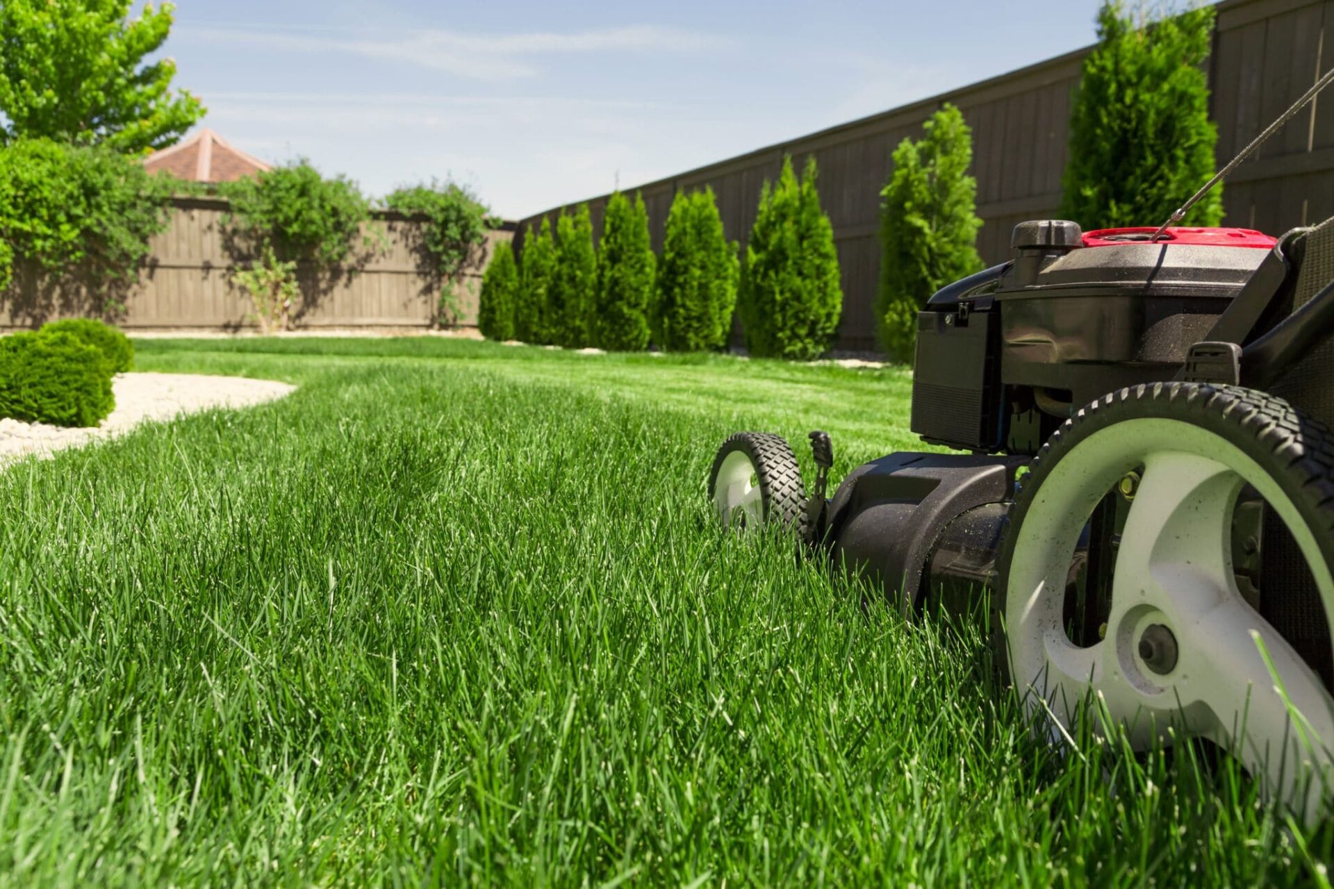 Close-up of a lawn mower in the process of mowing the lawn