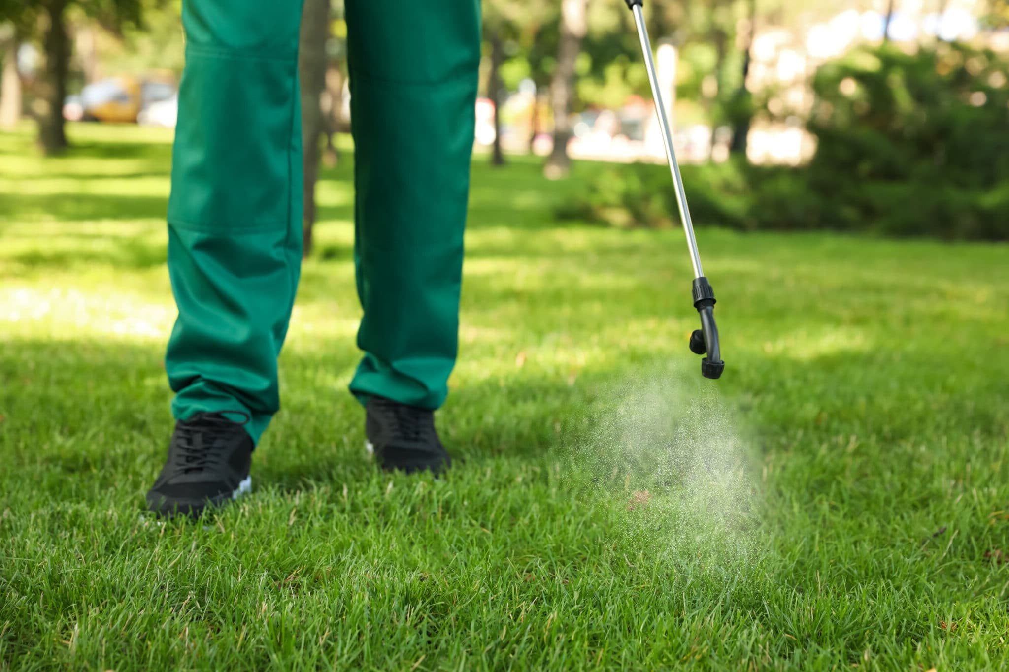 A worker dressed in green pants and black boots spraying herbicide onto a green grass lawn