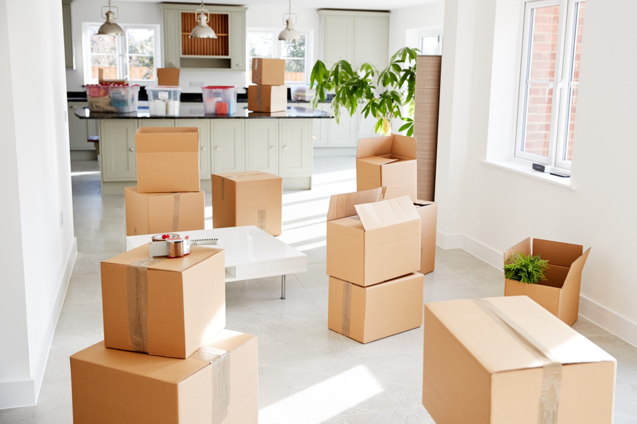 LoadUp Junk Removal Review (2025)