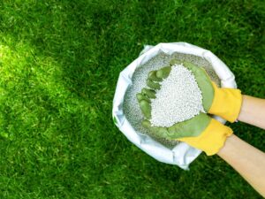 A person with gloves holding fertilizer out of a bag, sitting on a green grass lawn