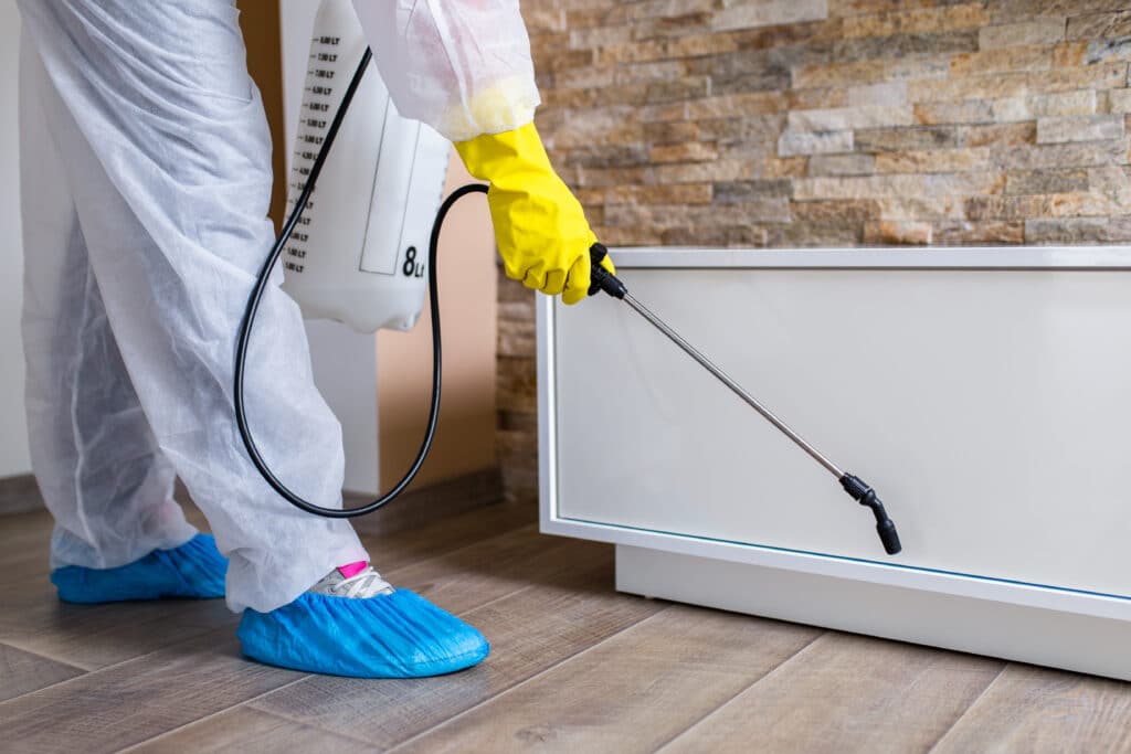 Pestmaster Services Review