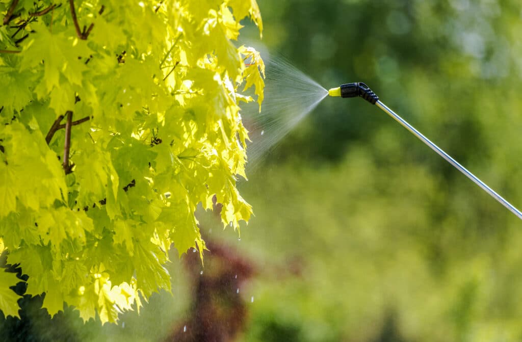 PrestoX Pest Control Review (2024)