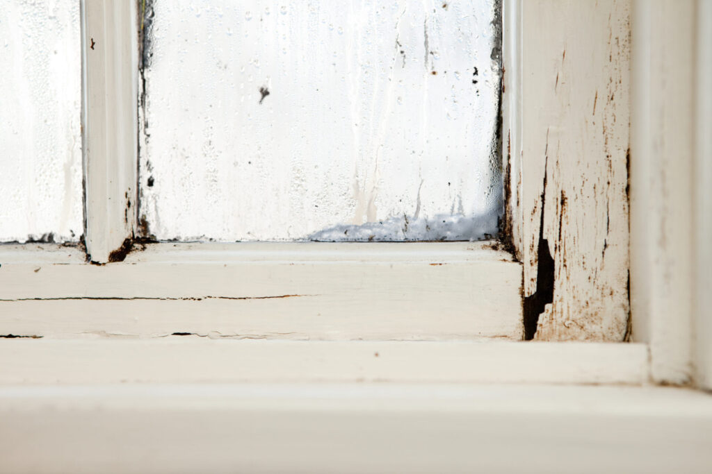 Close-up of a damaged wooden window.
