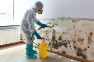 person spraying mold treatment on basement wall