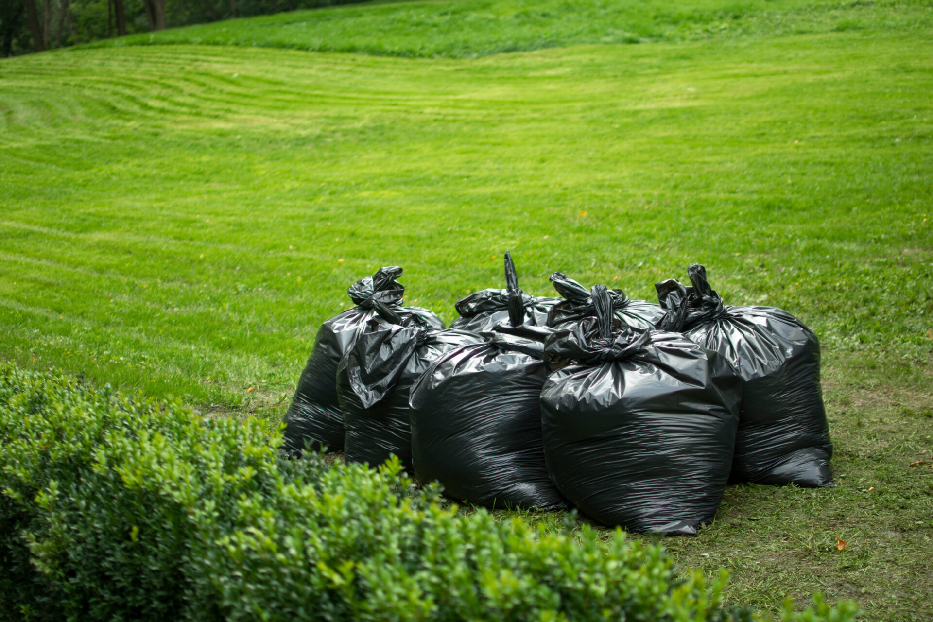 trash bags on green grass
