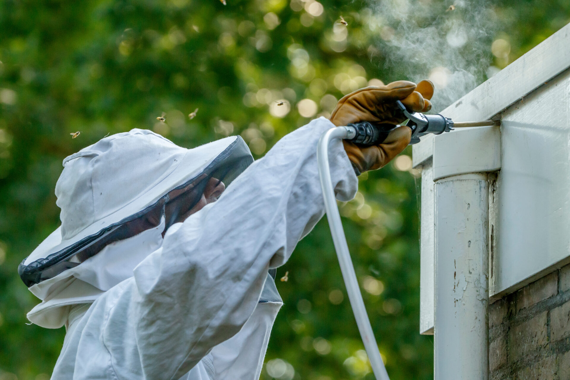 pest control in protective clothing doing bee removal