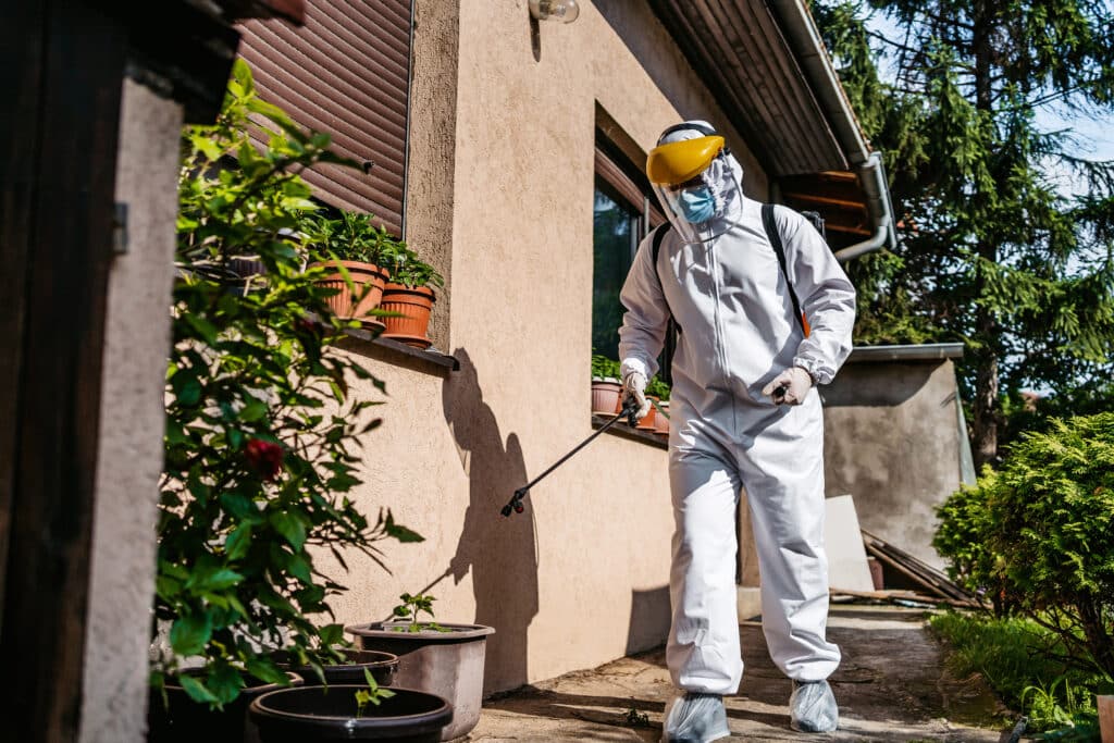 Cook’s Pest Control Review (2025)