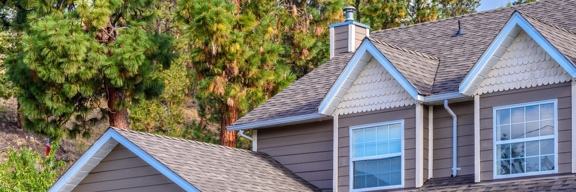 Shingle vs. Tile Roofs (2024 Guide)