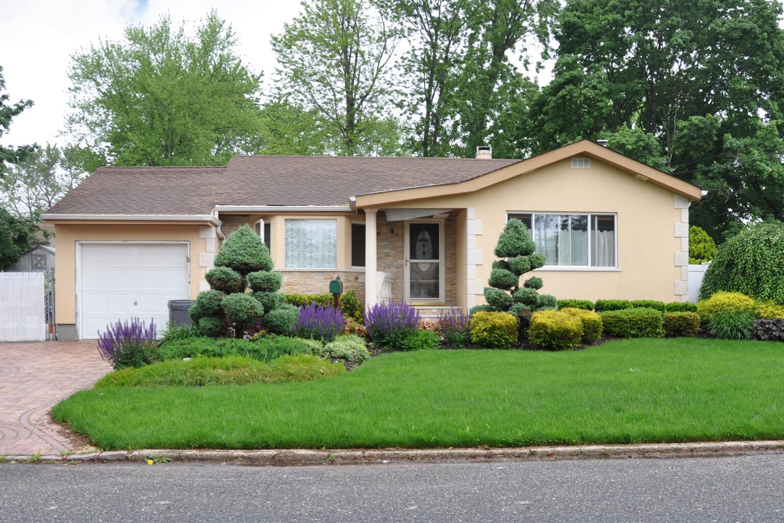 Homeownership Statistics 2025 Homeownership statistics 2025