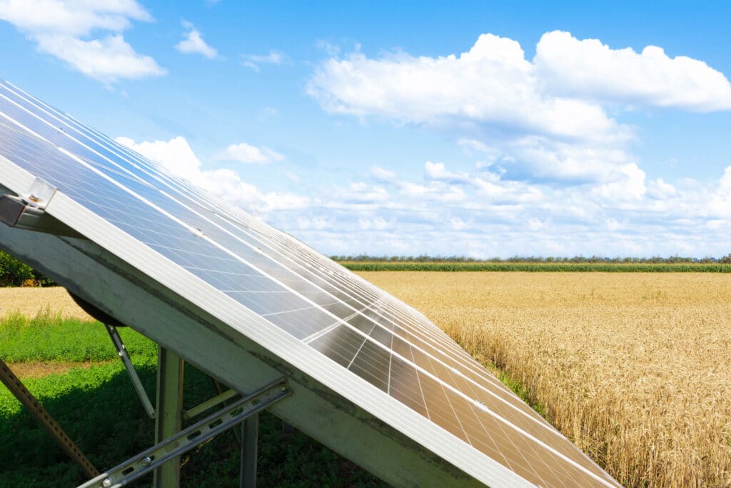 Agrivoltaics: What Farmers Need To Know About Solar Panels