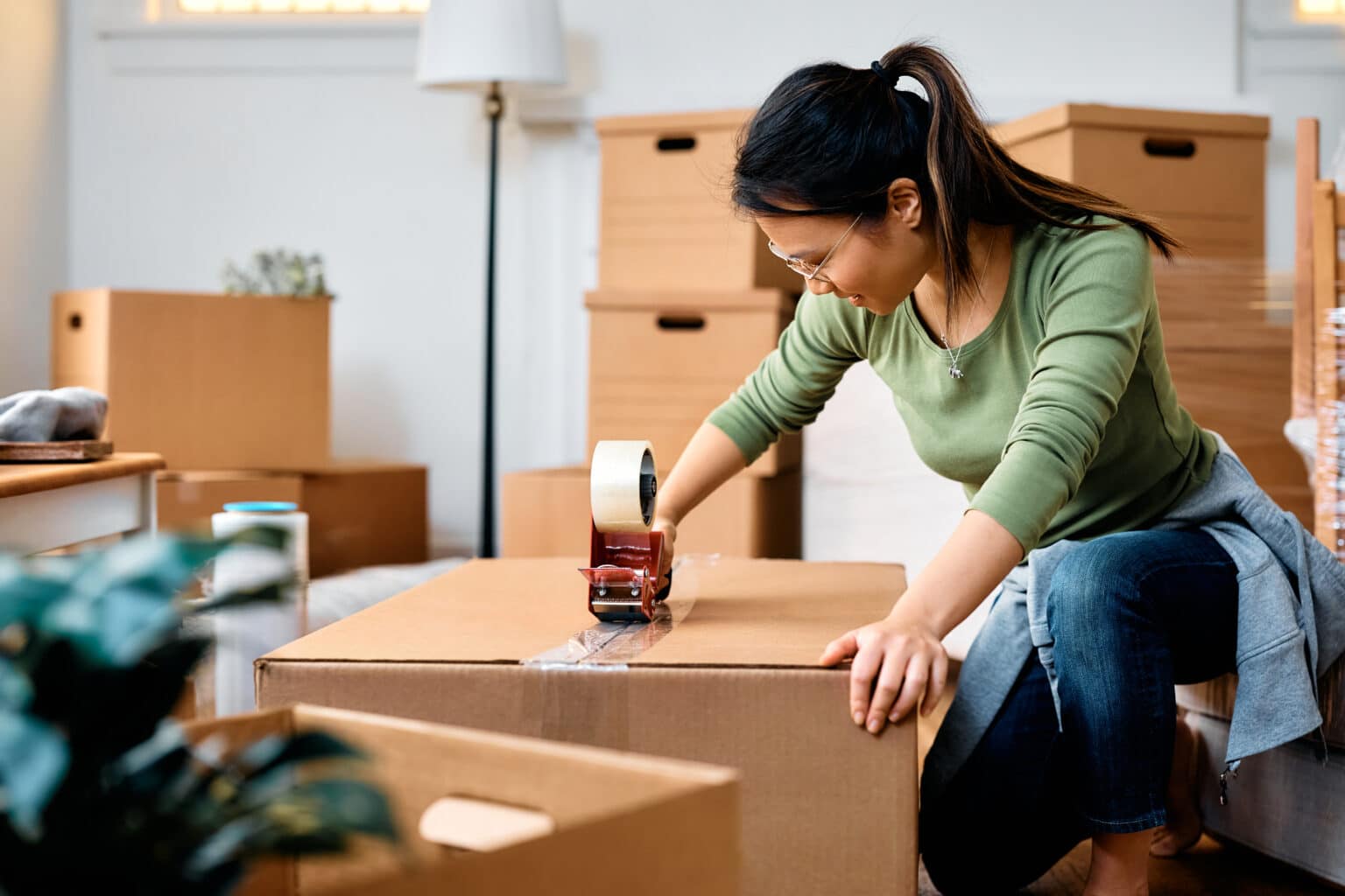 How To Move Plants how-to-move-plants