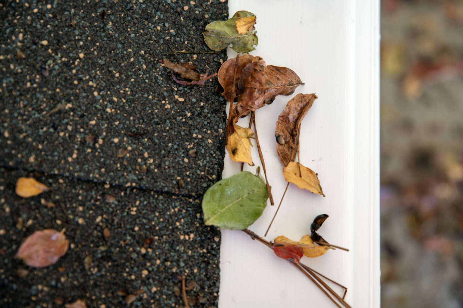 The 5 Best Gutter Guards for Pine Needles (2024 Guide)