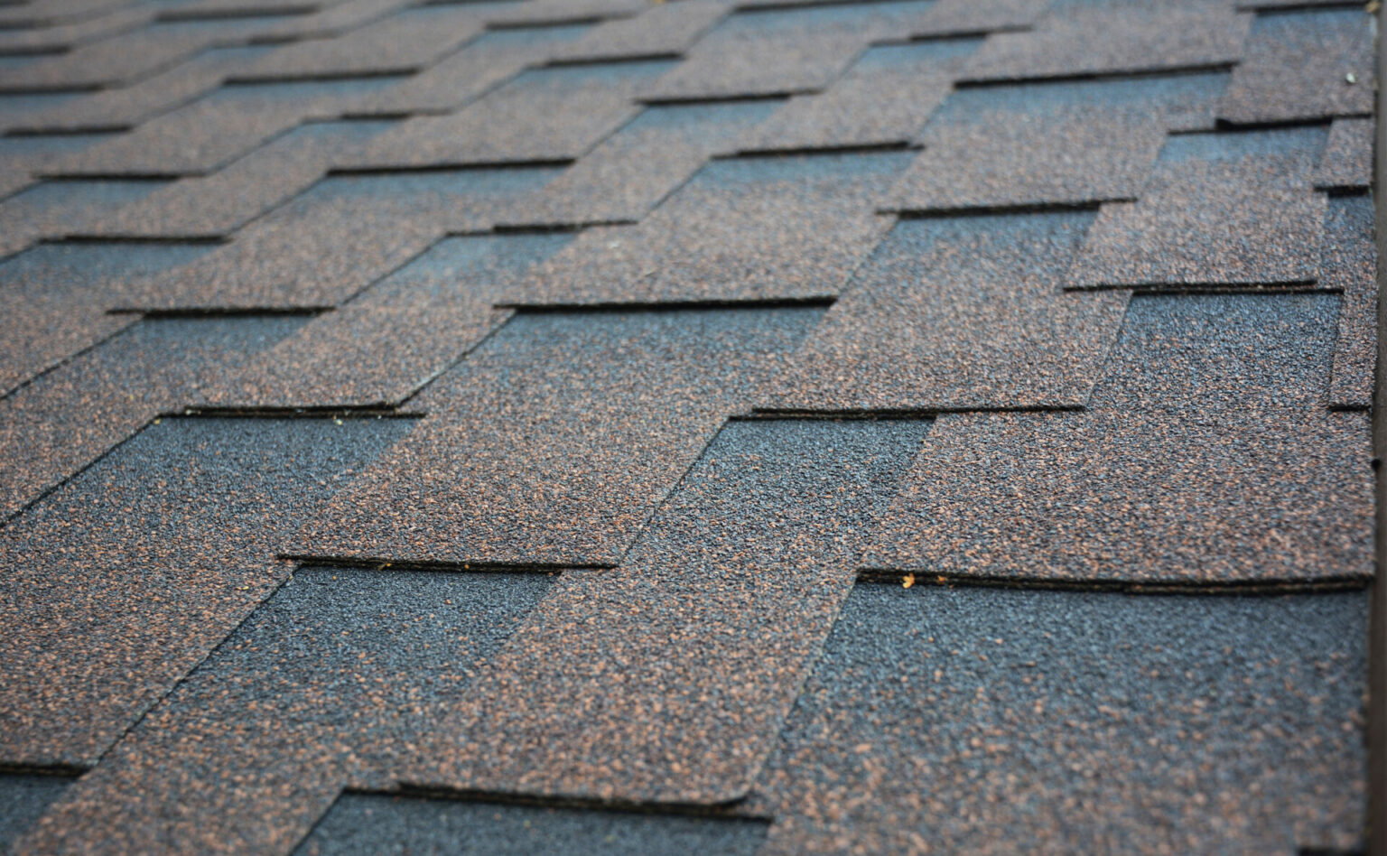 How Much Does a Shingle Roof Cost? (2024 Guide)