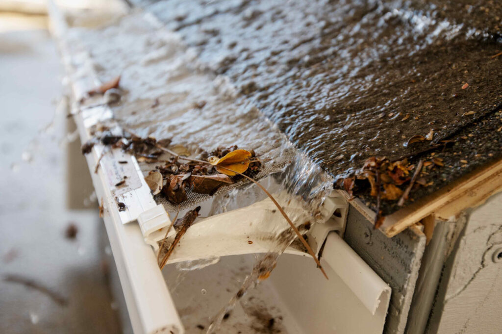 Close-up of Raptor gutter guard filtering leaves from running water.