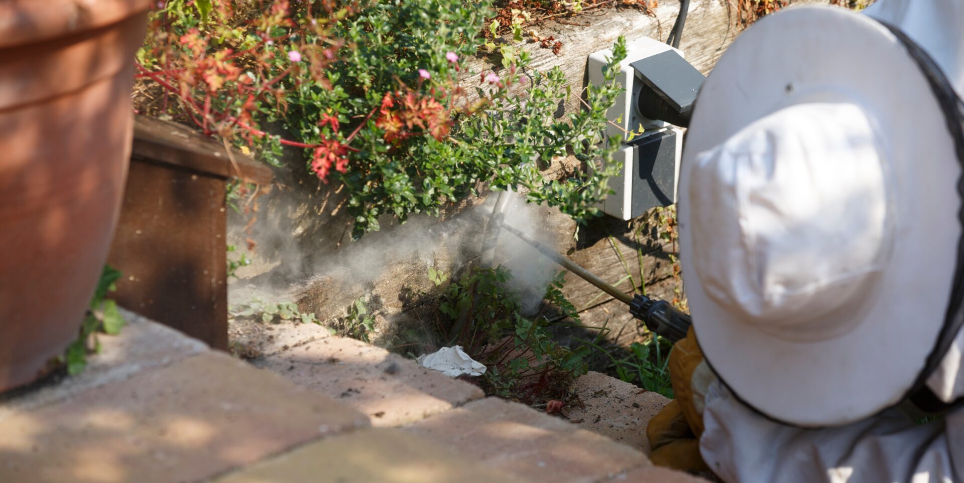 exterminator in protective clothing spraying chemicals in yard