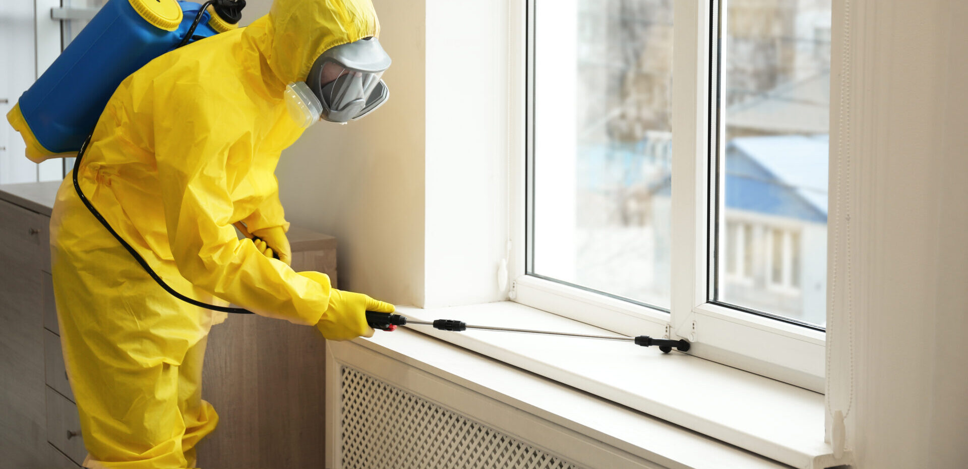 Pest control worker in protective suit spraying pesticide near window