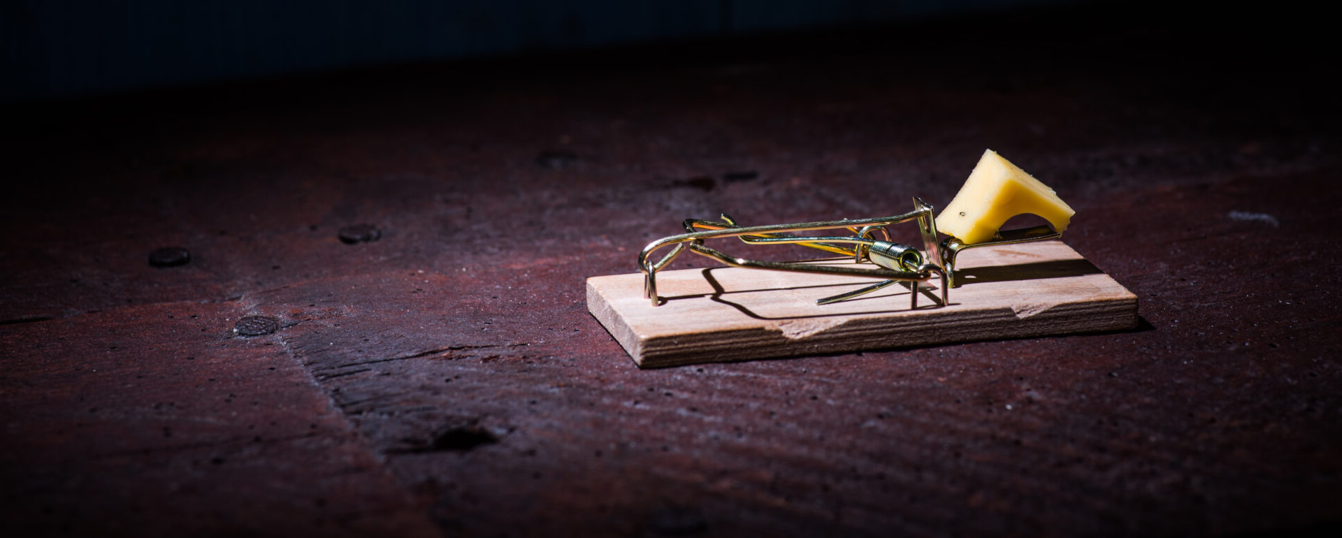 Mouse trap with yellow cheese on a wooden floor