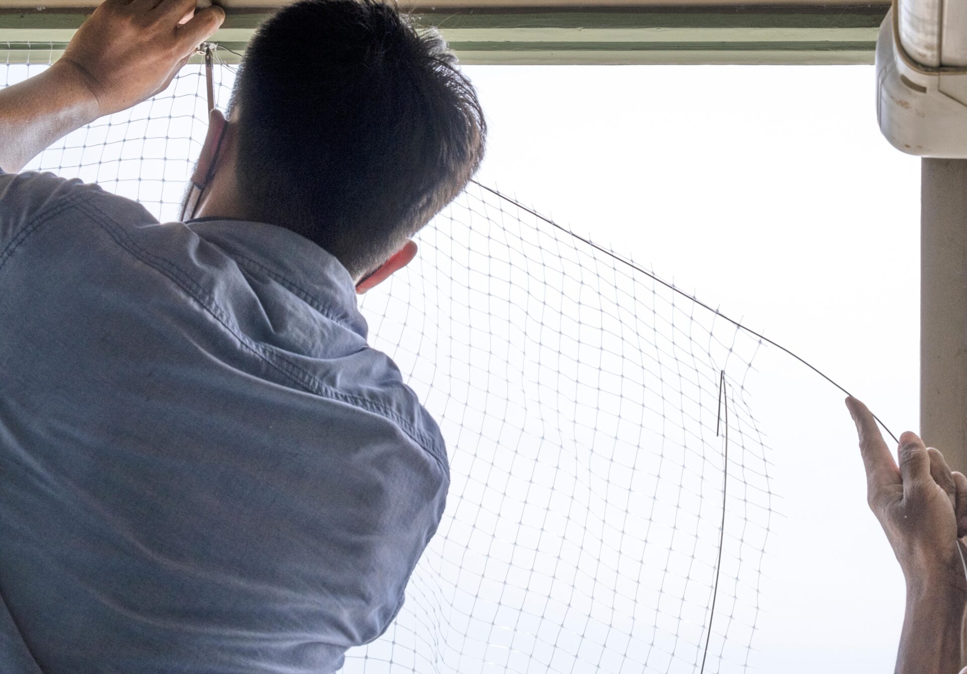 technician installing plastic net for protection against birds