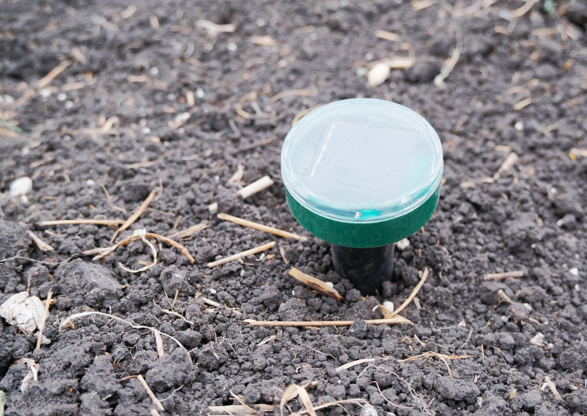 ultrasonic pest repellent device planted in the ground