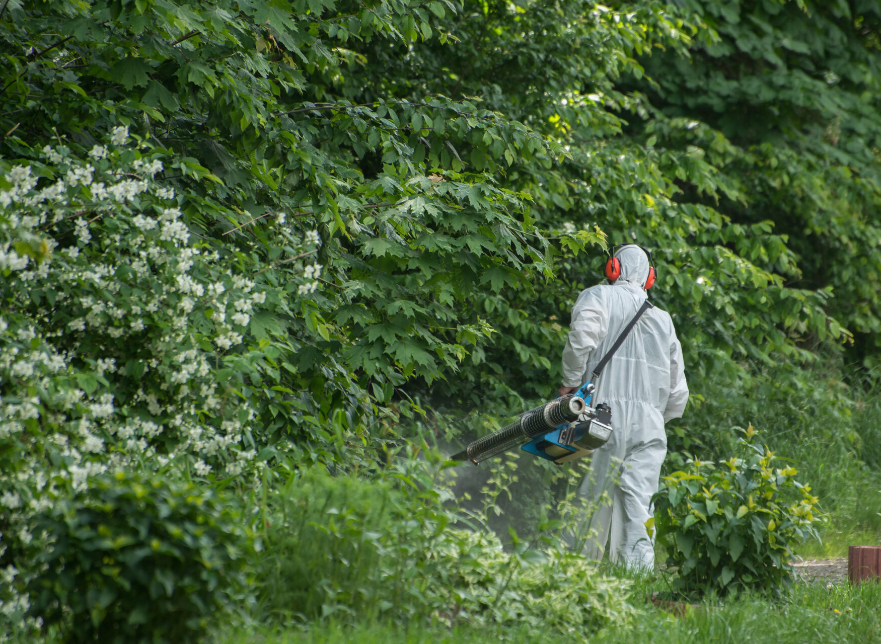 exterminator in white protective suit does pest control in the garden