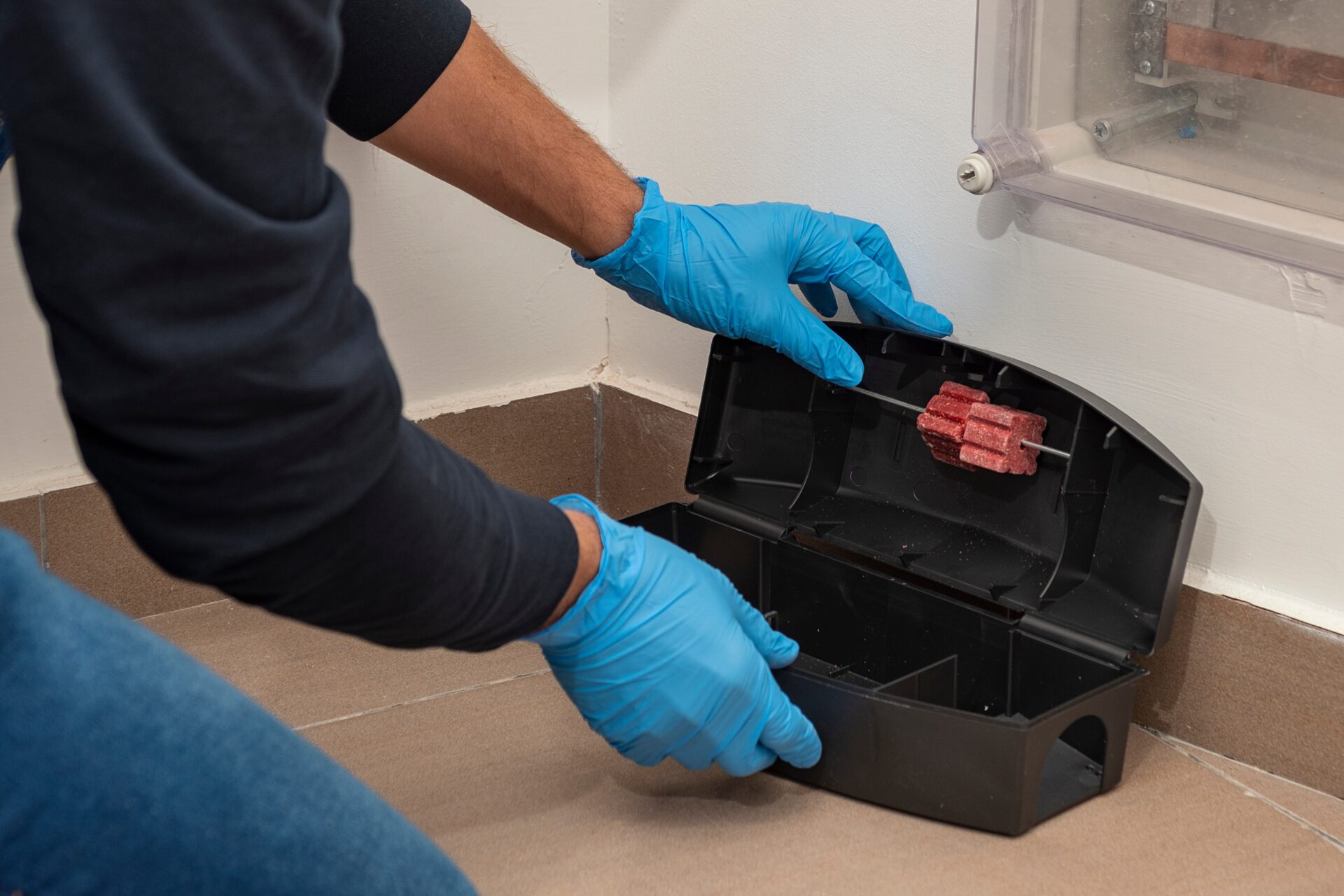 pest exterminator setting up a rat trap inside a home