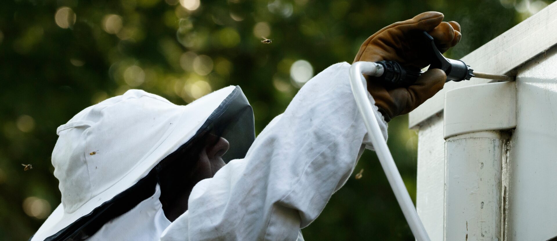 man in protective clothing removing pests from roof