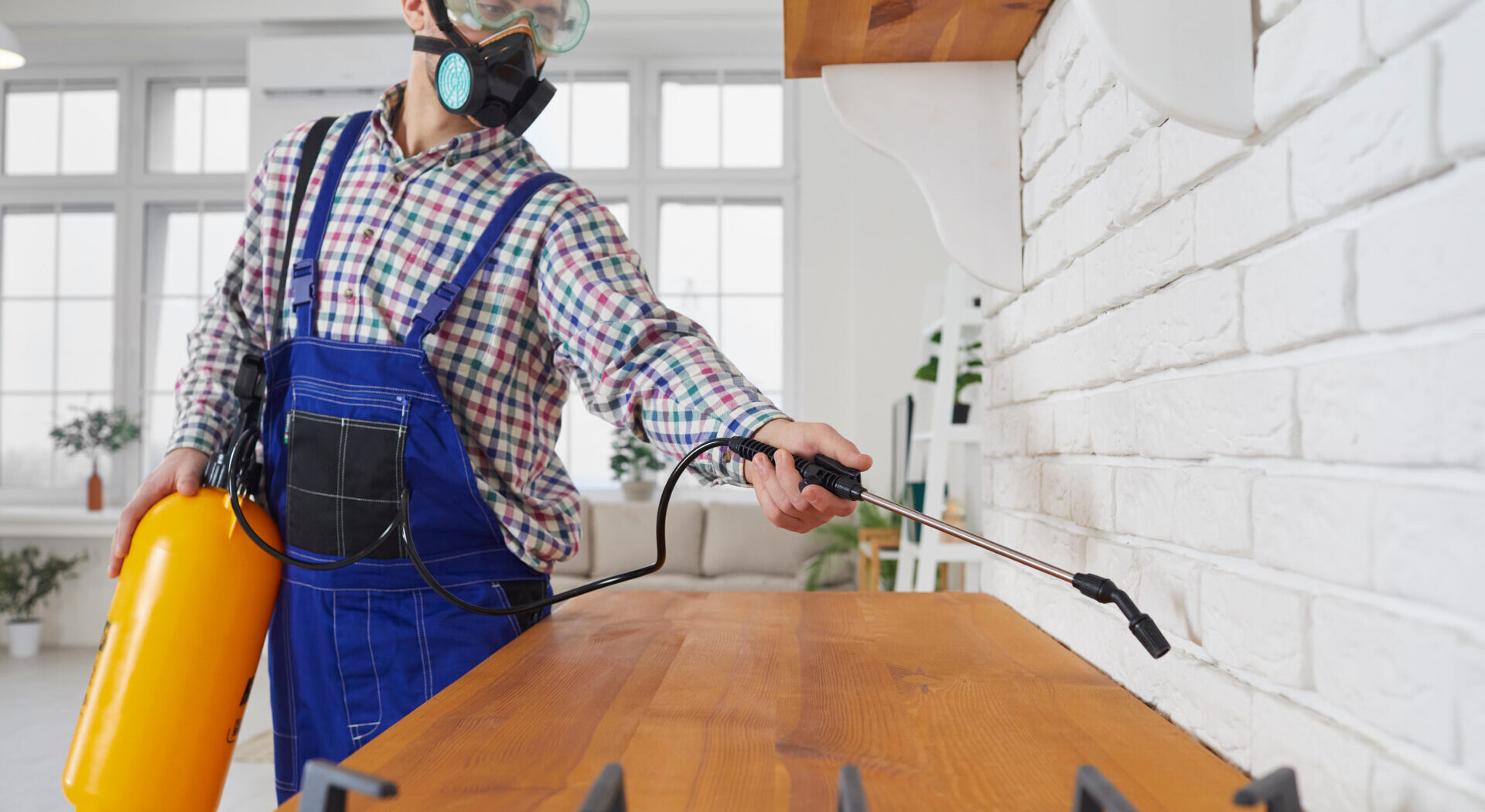 pest control worked spraying pesticide on kitchen countertop