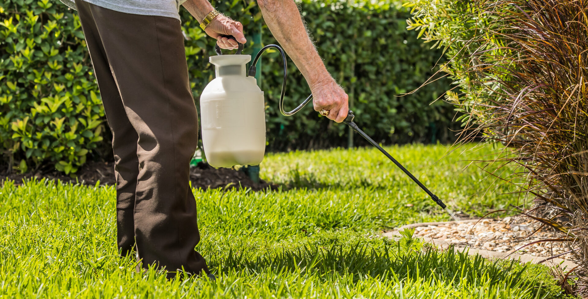 man spraying pesticide in his backyard