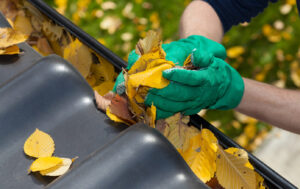 Cleaning the rain gutter during autumn
