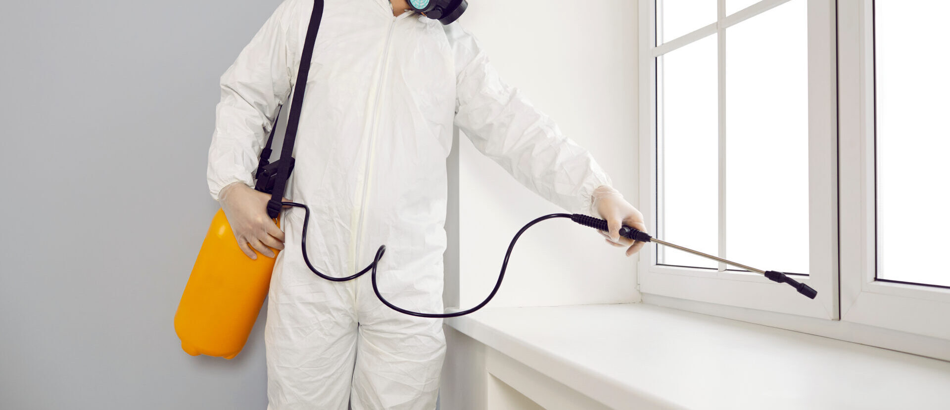 Pest control exterminator spraying pesticide on windowsills