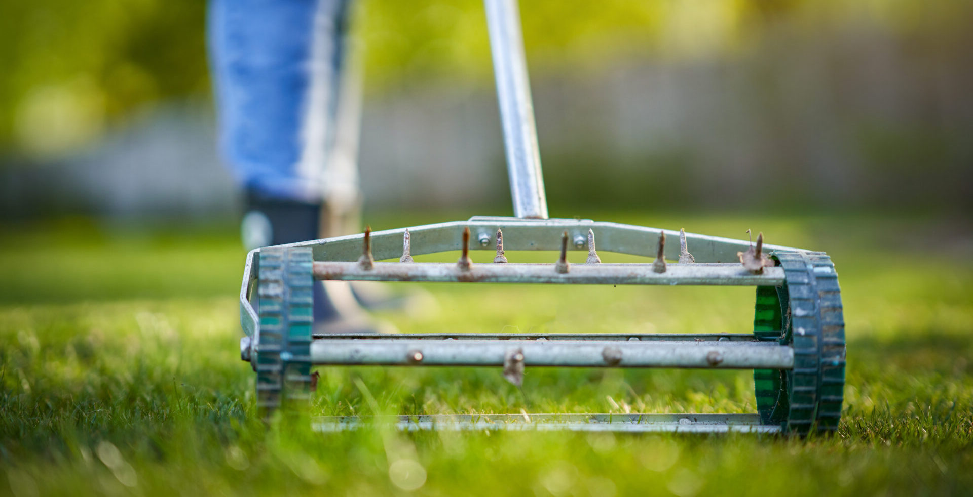 Picture of grass aerator on the green lawn. High quality photo