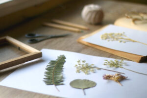Old book, papers, various pressed flowers, eyeglasses, scissors, pencils and rope on wooden desk. Crafting and making herbarium at home. Selective focus. See Less