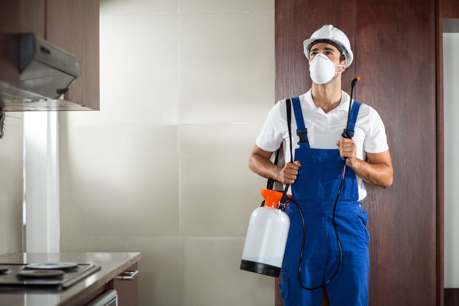 Professional contractor doing pest control at kitchen