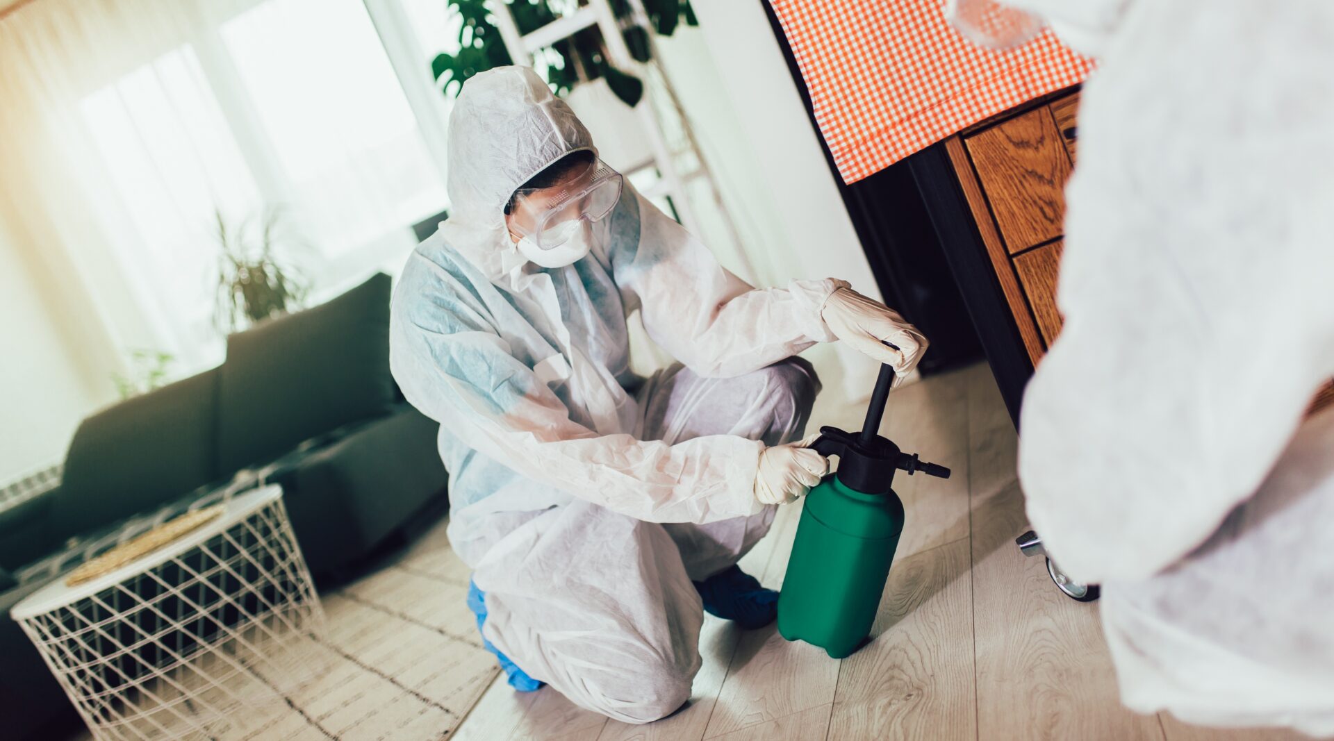 pest control expert spraying pesticide inside a home