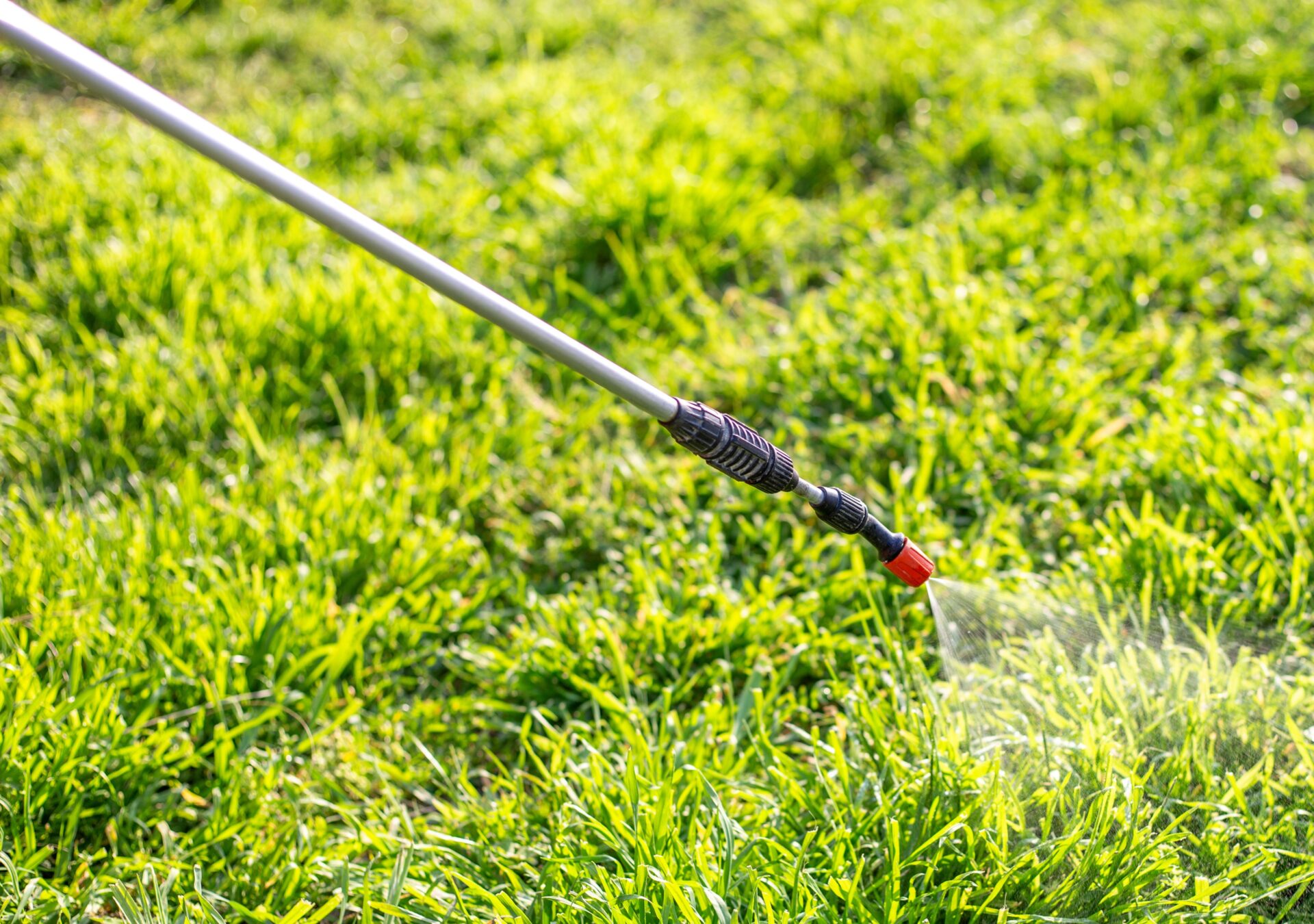 Spraying the grass in the garden with a garden sprayer