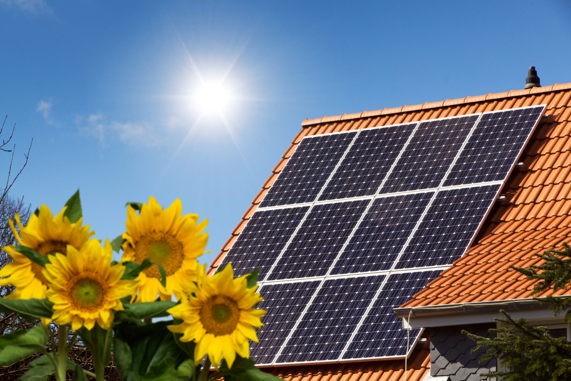 solar panels on clay roof top