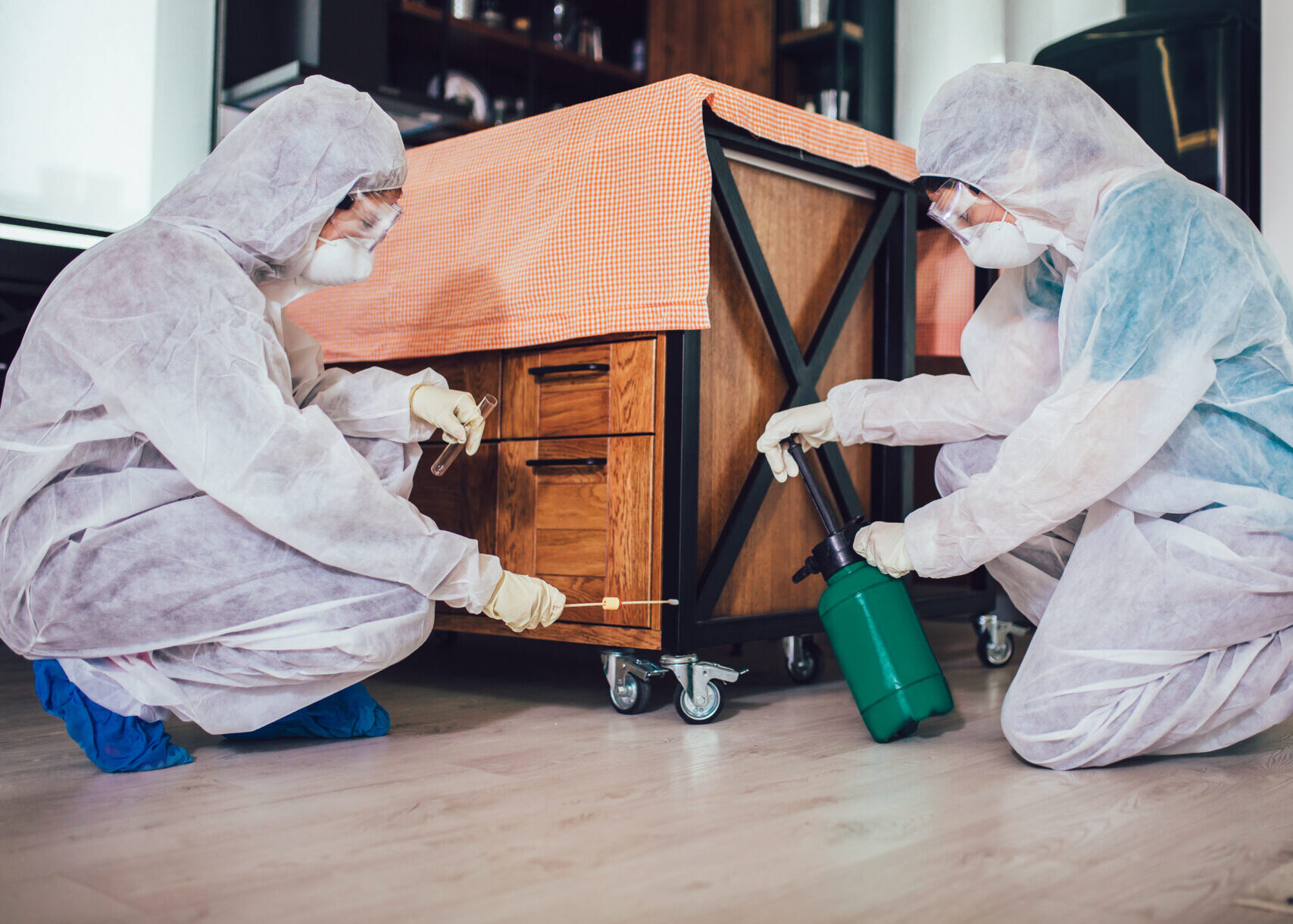 Specialists in protective suits do pest control