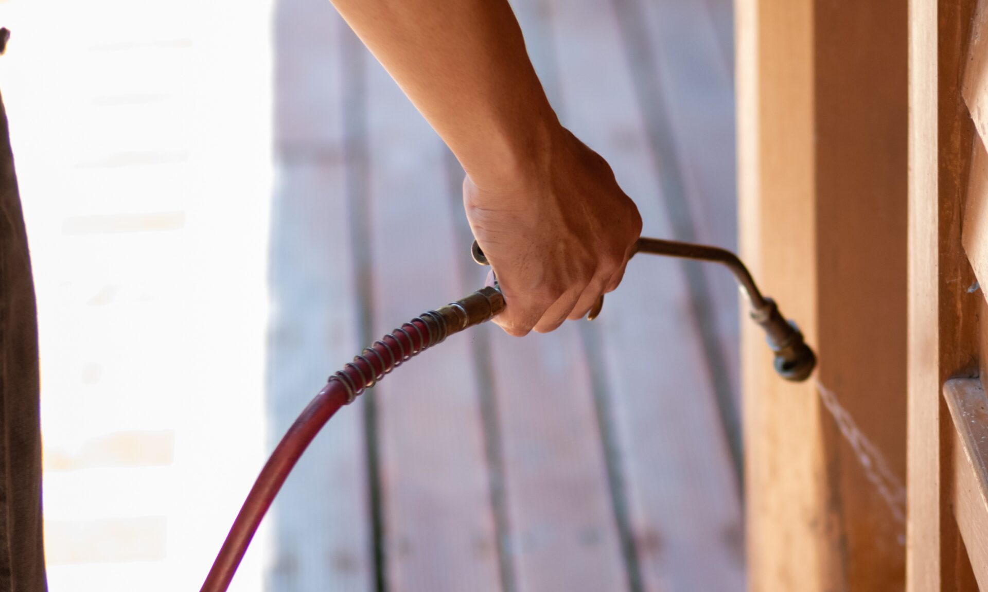 exterminator spraying pesticide on wooden walls