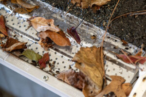 Screen gutter guard keeping leaves out of a gutter.