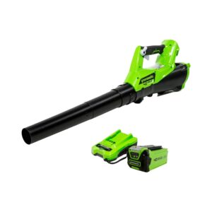 40V Cordless Leaf Blower Image