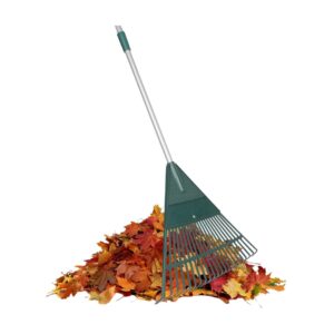Garden Rake Image