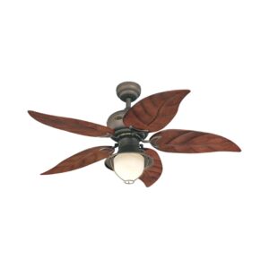 Lighting Oasis Ceiling Fan Image